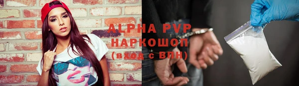 таблы Бородино