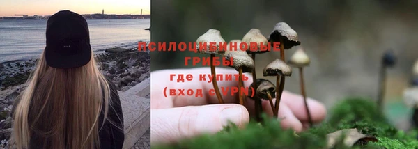 таблы Бородино
