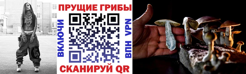 hydra ТОР  площадка состав  Псилоцибиновые грибы MAGIC MUSHROOMS  Ухта 